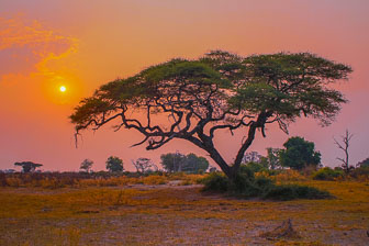 Landscapes of Africa