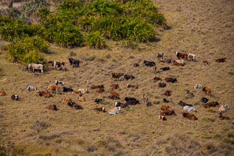 Tubu Tree Camp _60A2078.jpg