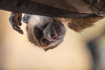 Chitabe Camp _B5P3134.jpg