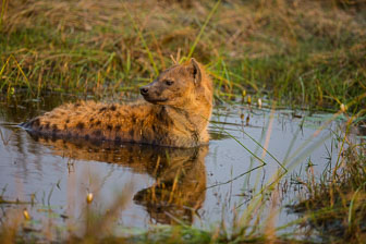 _B5P4033.jpg _B5P4033.jpg