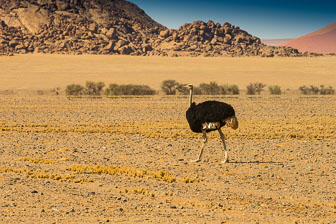 Little Kulala Desert Lodge _B5P2563.jpg
