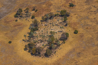 Duba Plains Camp IMG_1053.jpg