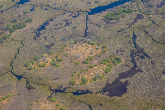 Duba Plains Camp IMG_1058.jpg