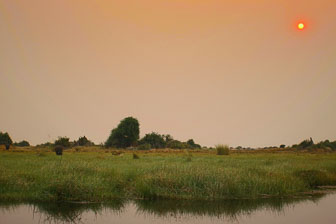 Duba Plains Camp IMG_1261.jpg