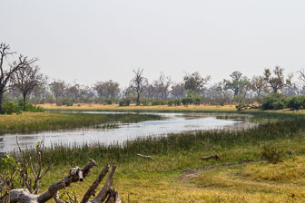 Selinda Camp IMG_1507.jpg