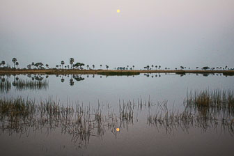 Selinda Camp IMG_1564.jpg