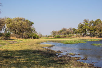 Selinda Camp IMG_1614.jpg