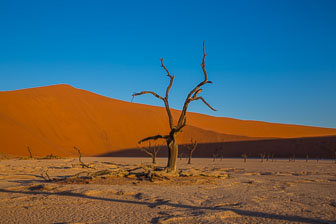 _60A1175.jpg _60A1175.jpg