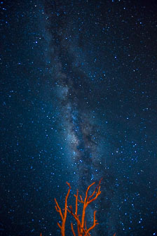 Little Kulala Desert Lodge _60A1341.jpg