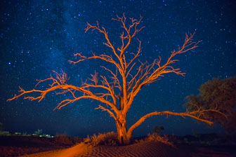 Little Kulala Desert Lodge _60A1344.jpg