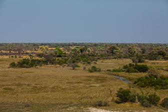 Tubu Tree Camp _60A1927.jpg