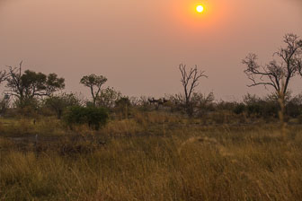 Selinda Camp _60A2122.jpg