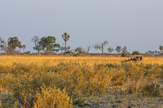 Selinda Camp _60A2250.jpg