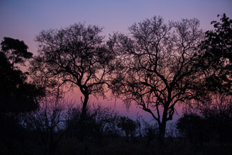 Selinda Camp _60A2269.jpg