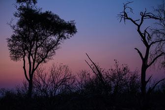 Selinda Camp _60A2270.jpg