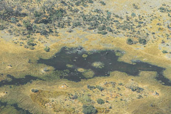 Chitabe Camp _B5P2763.jpg