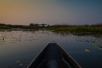 Tubu Tree Camp _B5P4194.jpg