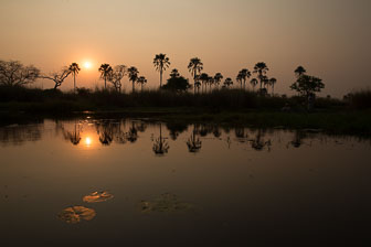 Tubu Tree Camp _B5P4220.jpg