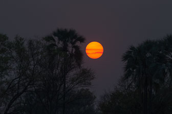 Tubu Tree Camp _B5P4308.jpg