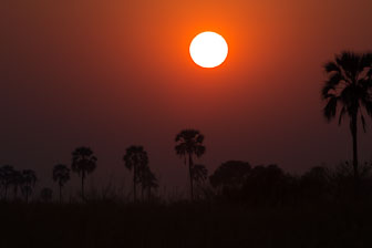 Selinda Camp _B5P4723.jpg