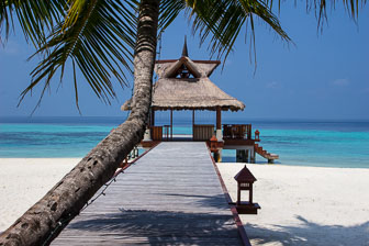 IMG_4482.jpg IMG_4482.jpg