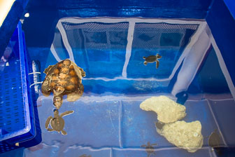 IMG_4511.jpg IMG_4511.jpg