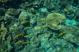 _60A7054.jpg _60A7054.jpg