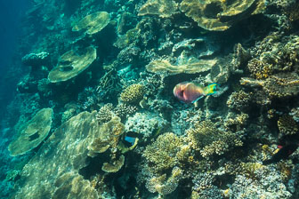 _60A7059.jpg _60A7059.jpg