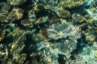 _60A7060.jpg _60A7060.jpg