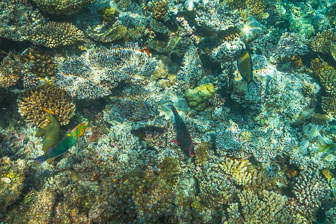 _60A7068.jpg _60A7068.jpg