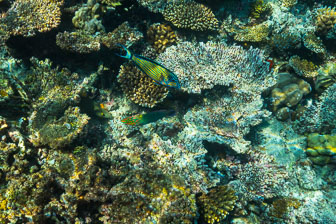 _60A7071.jpg _60A7071.jpg