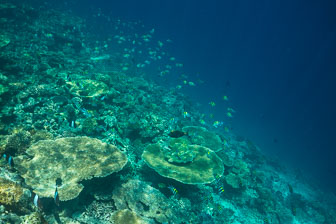 _60A7084.jpg _60A7084.jpg