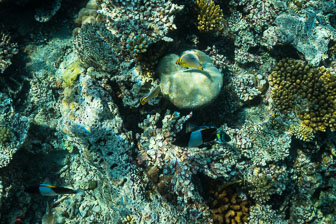 _60A7086.jpg _60A7086.jpg