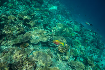 _60A7088.jpg _60A7088.jpg