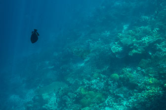 _60A7115.jpg _60A7115.jpg