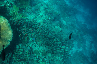 _60A7123.jpg _60A7123.jpg