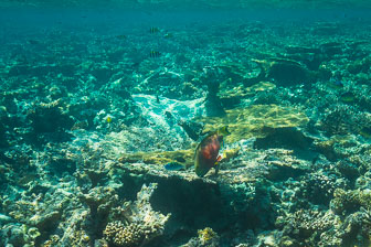 _60A7139.jpg _60A7139.jpg