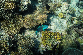 _60A7148.jpg _60A7148.jpg