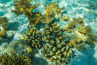 _60A7165.jpg _60A7165.jpg