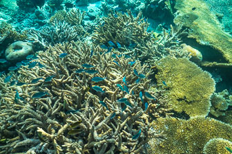 _60A7185.jpg _60A7185.jpg