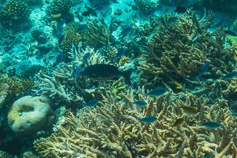 _60A7186.jpg _60A7186.jpg