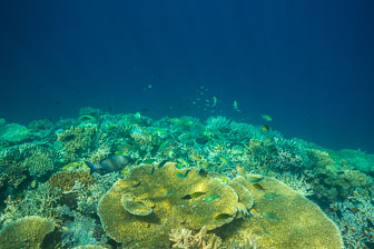 _60A7187.jpg _60A7187.jpg