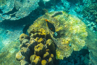 _60A7191.jpg _60A7191.jpg