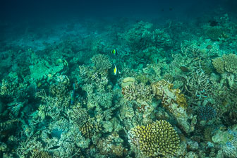 _60A7203.jpg _60A7203.jpg