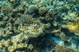 _60A7216.jpg _60A7216.jpg