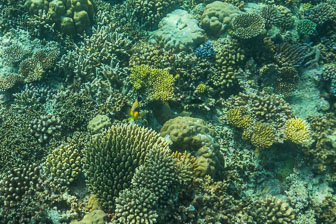 _60A7270.jpg _60A7270.jpg