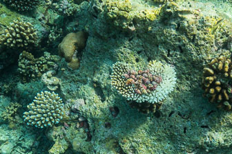 _60A7302.jpg _60A7302.jpg