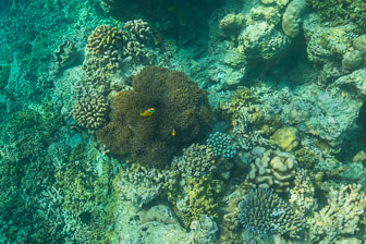 _60A7317.jpg _60A7317.jpg