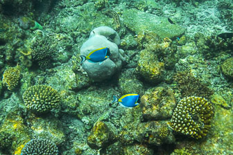 _60A7357.jpg _60A7357.jpg