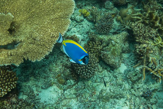 _60A7361.jpg _60A7361.jpg